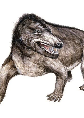 Cynognathus