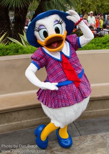 Daisy Duck