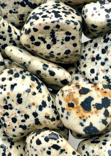 Dalmatian Jasper