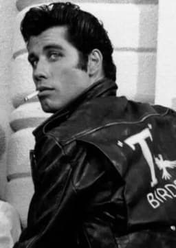 Danny Zuko