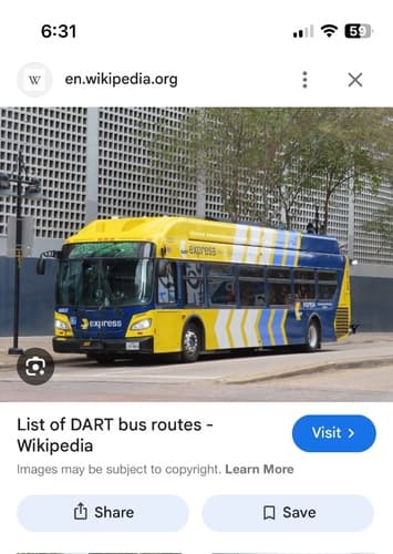 Dart bus