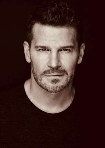 David Boreanaz