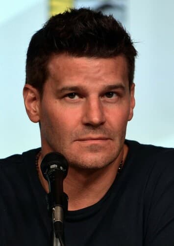 David Boreanaz