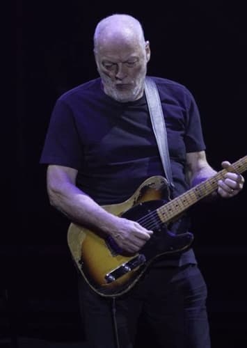 David Gilmour
