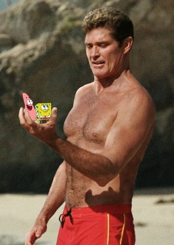 David Hasselhoff