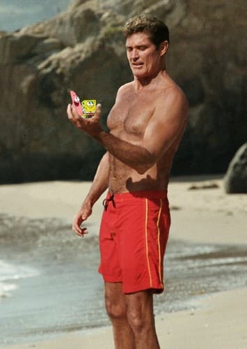David Hasselhoff