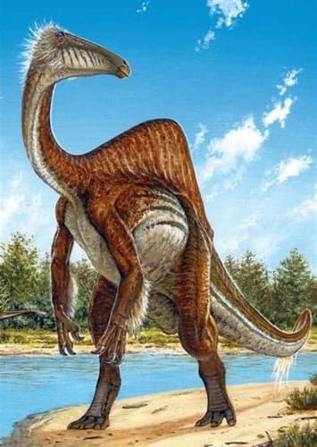 Deinocheirus