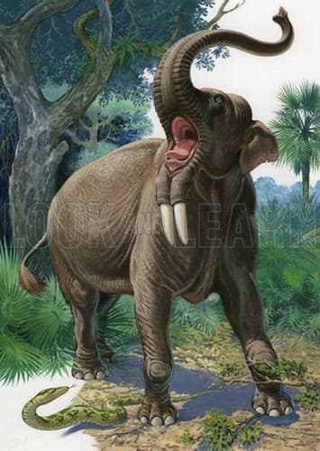 Deinotherium