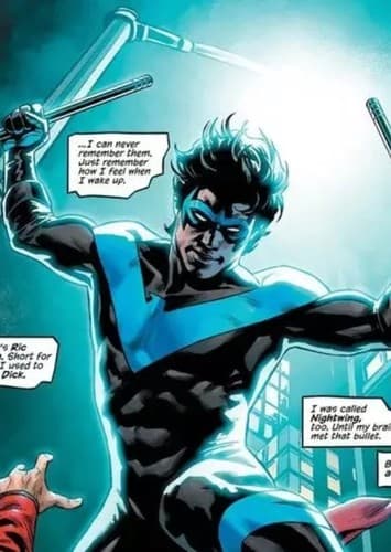 Dick Grayson (Robin/Nightwing)