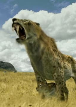 Diego the Sabertooth cat