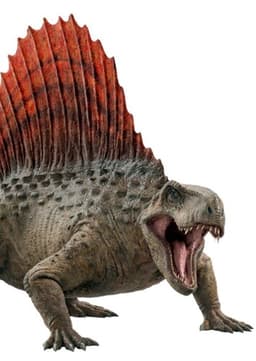 Dimetrodon