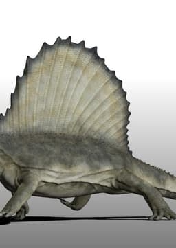 Dimetrodon