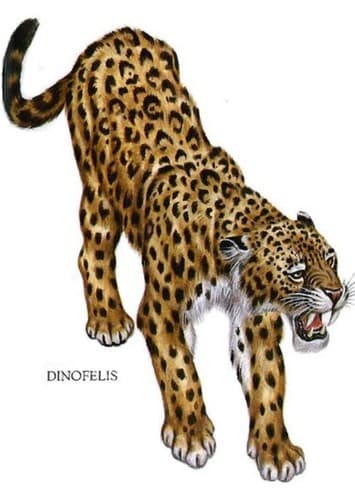 Dinofelis
