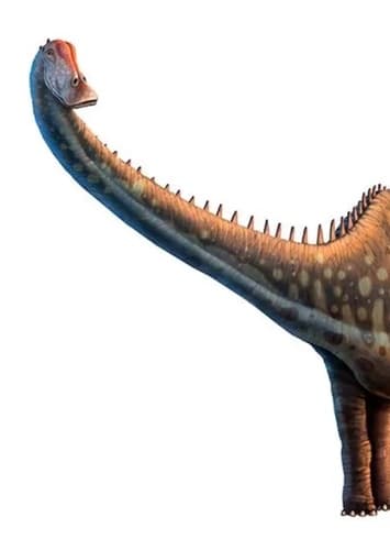 Diplodocus