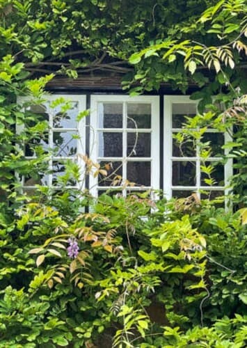 Distração e Objetivo - Parte 1