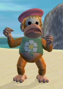 Dixie Kong(딕시콩)