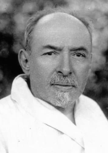 Dmitry Ilyich Ulyanov