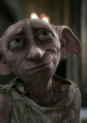Dobby