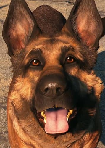Dogmeat