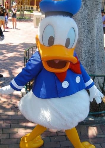 Donald Duck