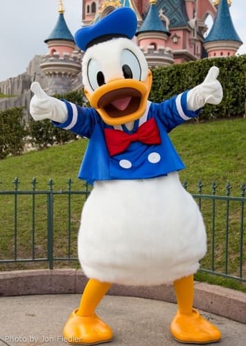 Donald Duck