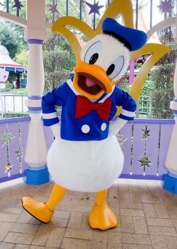 Donald Duck
