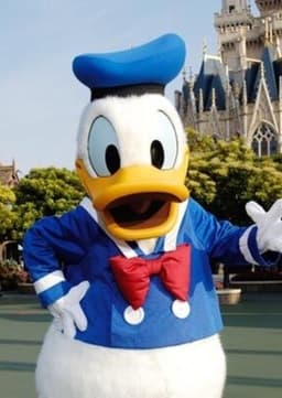 Donald Duck