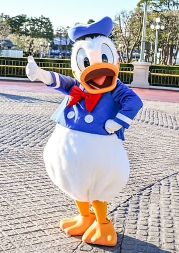 Donald Duck