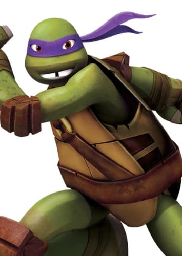 Donatello Hamato