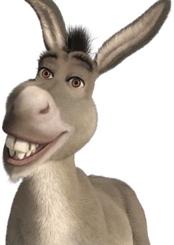 Donkey