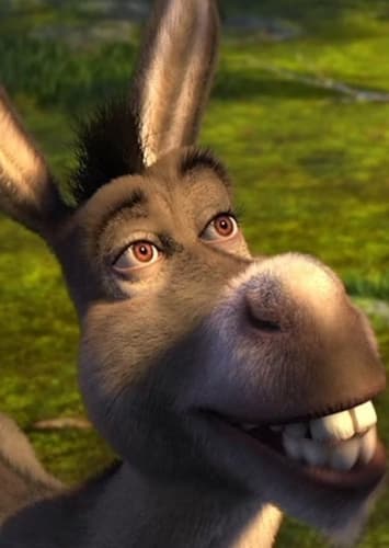 Donkey