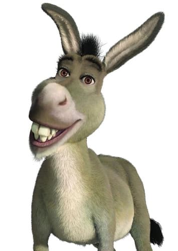 Donkey