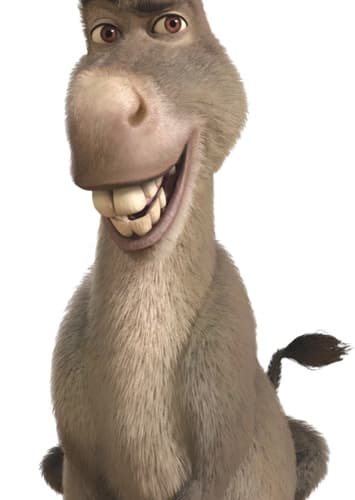 Donkey