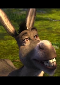 Donkey