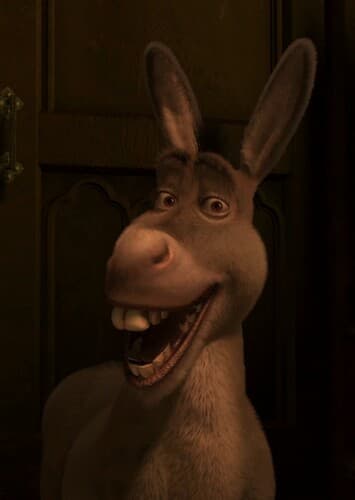 Donkey