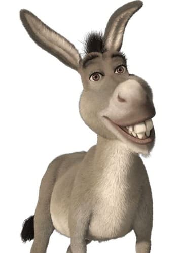 Donkey