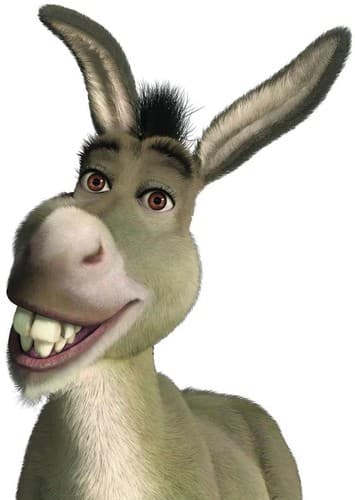 Donkey