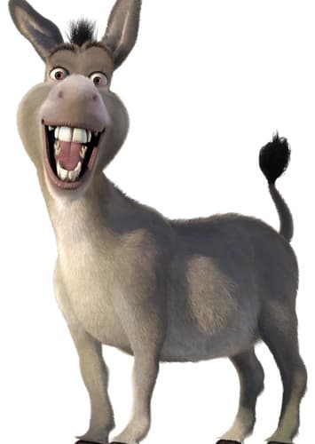 Donkey