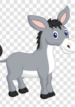 Donkey