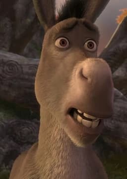 Donkey
