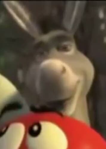 Donkey