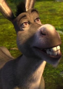 Donkey
