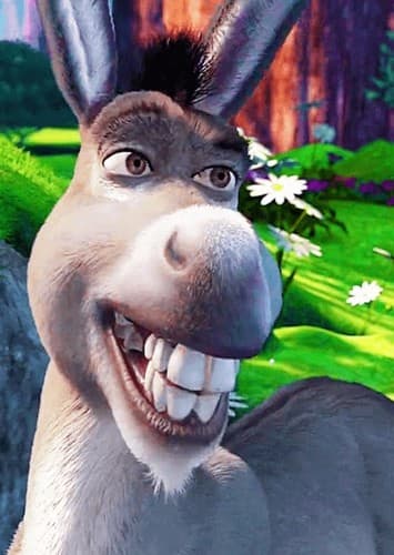 Donkey