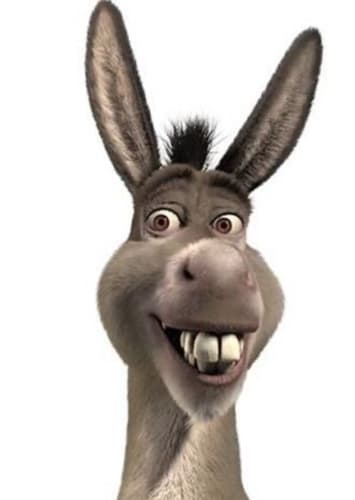 Donkey