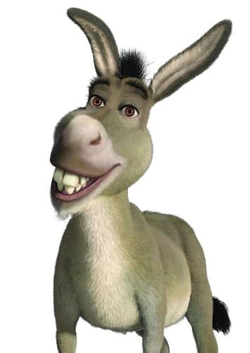 Donkey