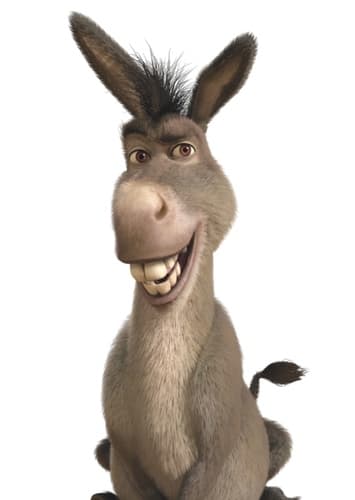 Donkey