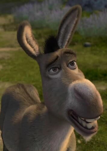 Donkey