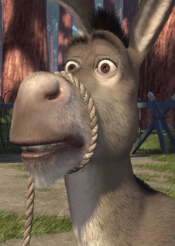 Donkey