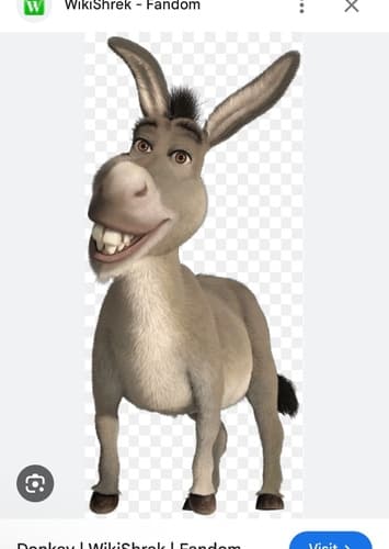 Donkey