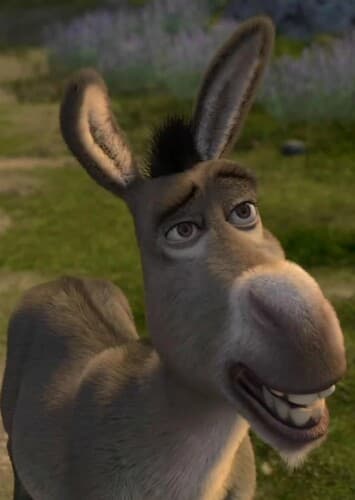 Donkey